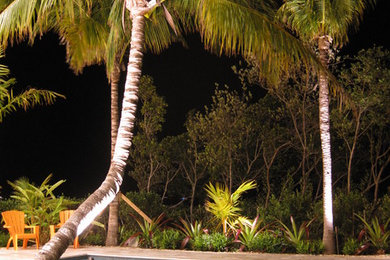 Example of an island style rectangular pool design in Miami