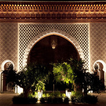 Oasis