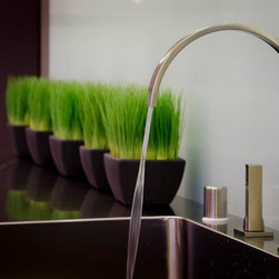 Photos - Decorative Accents
