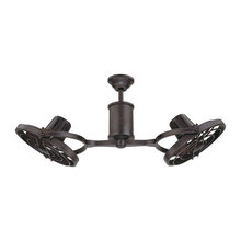 Ceiling Fans