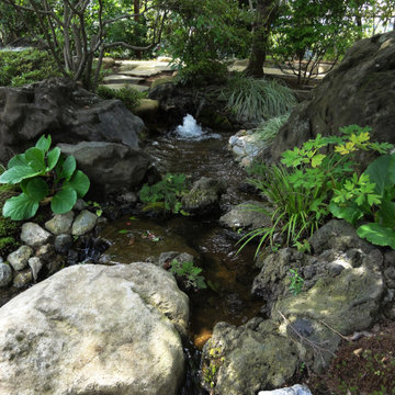 湧水から小川へ・・・水景の庭