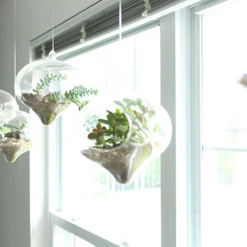 Decorating with Plants and Birds