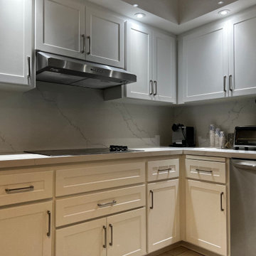 Modern Kitchen Remodel Done in a Shaker Door