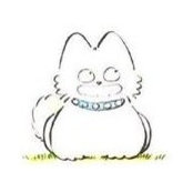 Dang Ha's photo