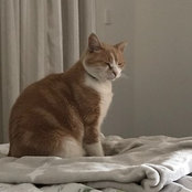 Foto von samanthra68