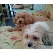Evelyn Iler's photo