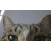 Christa Petacchi's photo