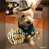 Donna Crawford's photo
