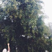 Foto de Noura Al-Mansoury