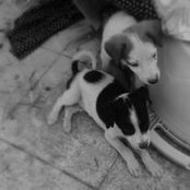 Deepa Athles foto