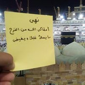 Foto von Noha Ali