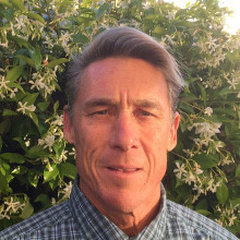 Kurt Fouts - Arborist Consultant