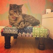 Foto von Rachael Cameron