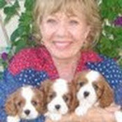 Marilyn Mayfield's photo