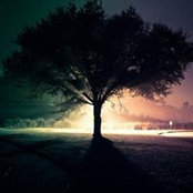 Tanya Jones's photo