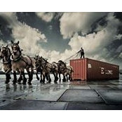 Sandro Khoshtaria's photo