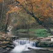 Michele Bass's photo