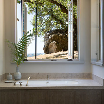 Alexander Valley View