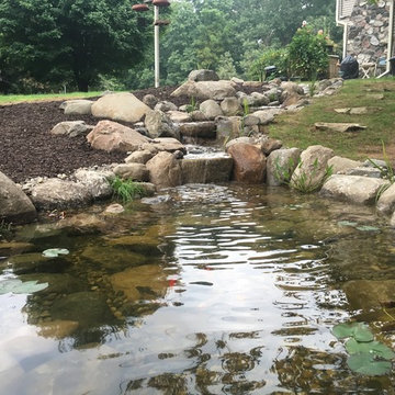 Koi Pond Kalamazoo, MI