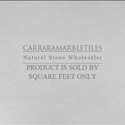Bianco Dolomiti Marble Italian White Dolomite 18x18 Marble Tile Polished - Products