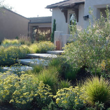 Landscapes & Gardens