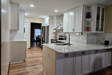 Kitchen - modern kitchen idea in DC Metro