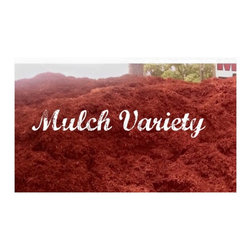 Our Supply - Products
