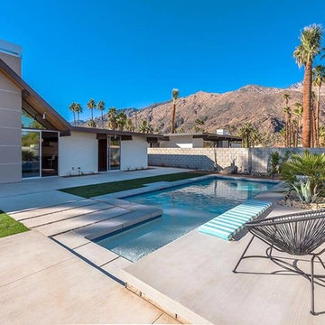 Desert Eichler #2