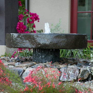 Arizona Property Landscape