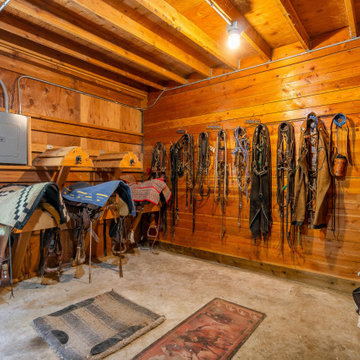 Equestrian Dreams in Renton