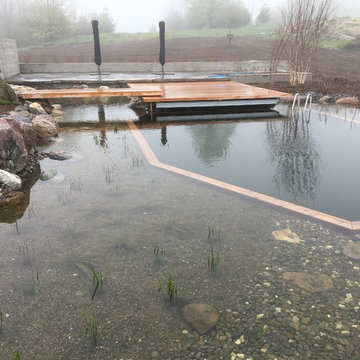 Pond in the Fields