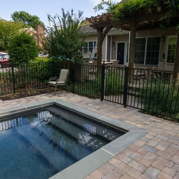 Endless Pool