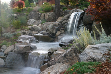 Photo of a landscaping in Sacramento.