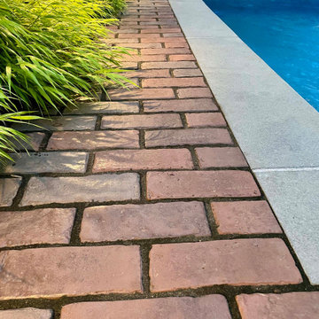 Toronto Danforth Backyard Pool