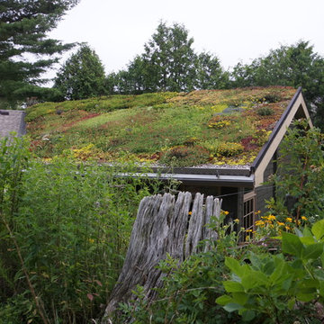 Green Roofs