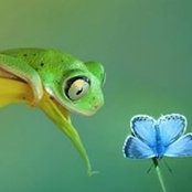 Foto von Lori Abbott