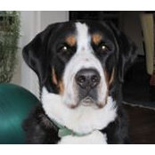 Judy Brown Fletcher's photo