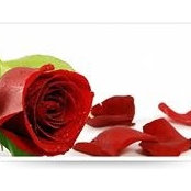 Suzi Leasure's photo
