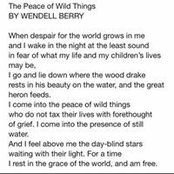 April Ford's photo