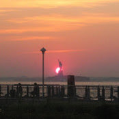 Adam Armstrong's photo