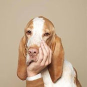 Samantha Laskey's photo