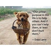 Charlene McCuller's photo
