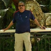 Amulya Vyas's photo