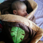 Nader Khalil's photo
