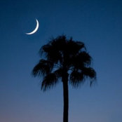 Chadwick Davis's photo
