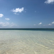 Desirae Petersen's photo