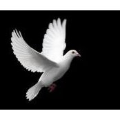 Barbara DeLay Starek's photo