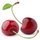 Cherry Johnson