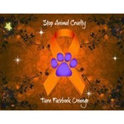 Cindy Mairs's photo
