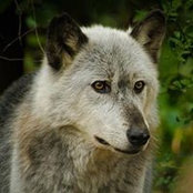 Dana Hill's photo